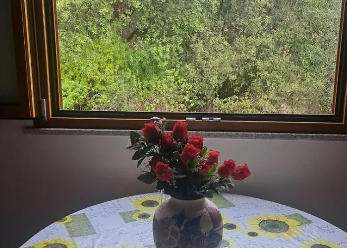 Scordalinna * וילסימיוס